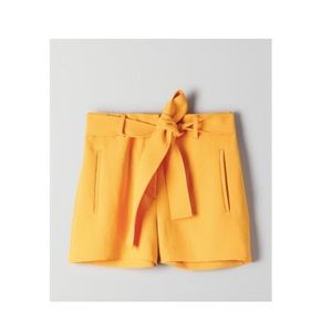 Wilfred Jallade Tie Front Shorts | Aritzia